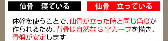 骨盤が安定