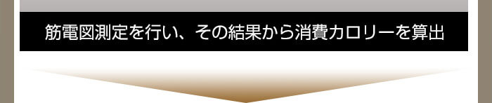 カロリー消費量を算出