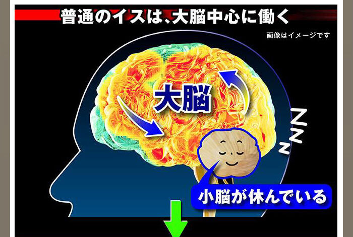 普通の椅子は大脳中心